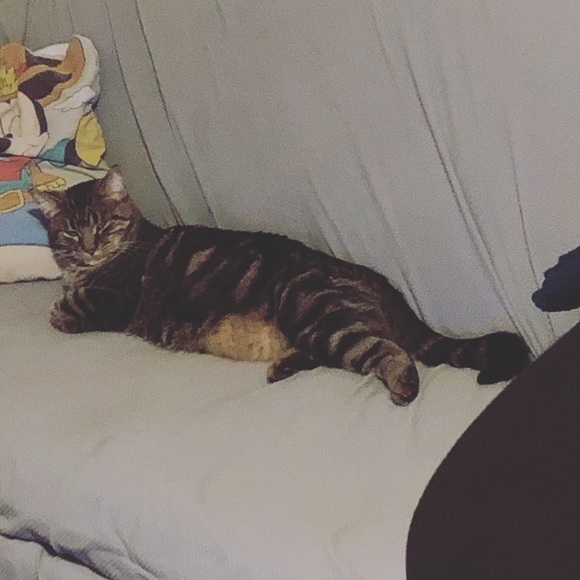 Profile Picture of Karina Antler (@pomegrantetear) on Poshmark