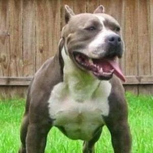 Profile Picture of Jonathan Casanova (@jonathancasanova06) on Tiktok