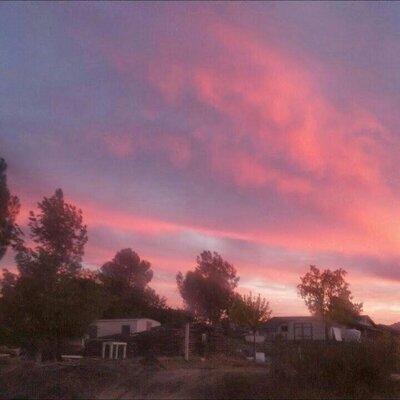 Profile Picture of Scott Rutledge (@ScottRutledge10) on Twitter