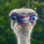 Profile Picture of Sam Markle (@sammarkle_spammmz) on Instagram