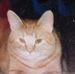 Profile Picture of Betsy Backlund (@betsy.backlund.9) on Facebook