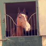 Profile Picture of Christopher Head (@christopher_head60) on Instagram