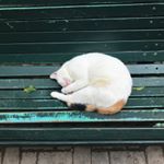 Profile Picture of leila zhang (@leila0616) on Instagram