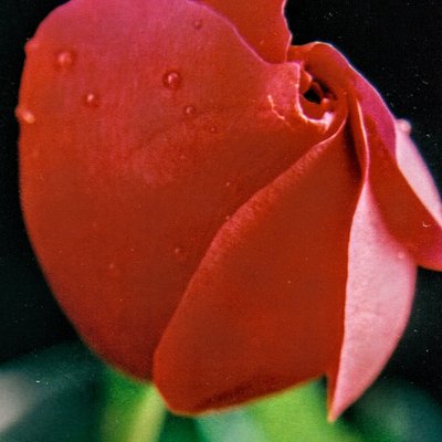 Profile Picture of Steve Cataldi (@cataldi_steve) on Twitter