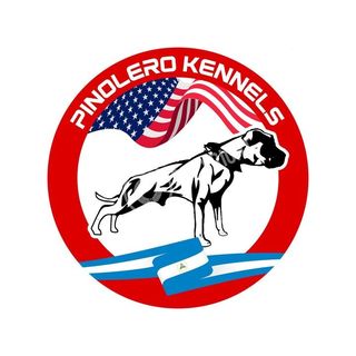 Profile Picture of Pinolero Kennels (@pinoleroknls) on Instagram