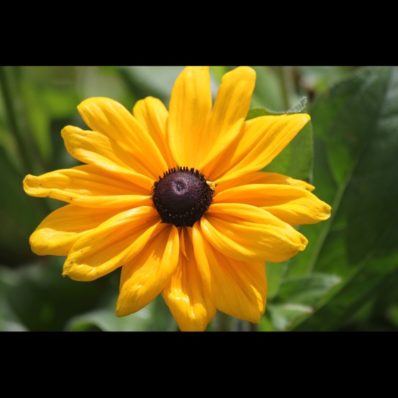 Profile Picture of Alexis Zanotti (@lexizanotti) on Poshmark