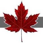 Profile Picture of Dave Holland (@davehollandpics) on Instagram