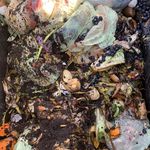 Profile Picture of Matthew Wasserman (@community.foodcycle) on Instagram
