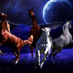 Profile Picture of Tamara Vance (@vancetamara) on Instagram