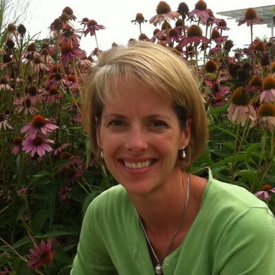 Profile Picture of Amanda Holbrook (@HolbrookOh) on Twitter