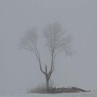 Stuart Smalley - Tiktok Profile Picture of Stuart Smalley (@grayspaceusa) on Tiktok