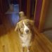 Profile Picture of Kyle Goble (@kyle.goble.359) on Facebook