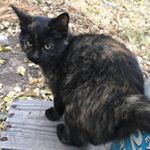 Profile Picture of Wesley Wendt (@wwendt2010) on Instagram