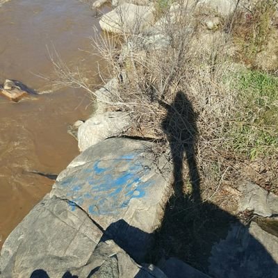 Profile Picture of R.J. McKenna (@IvanKaramazov64) on Twitter