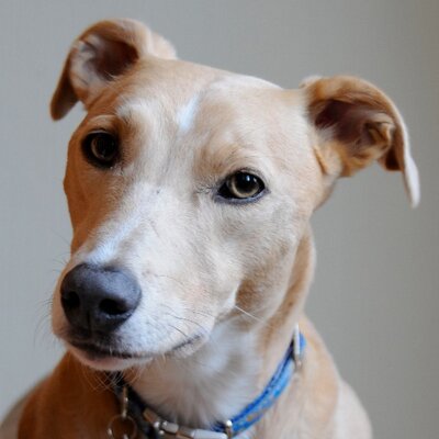 Profile Picture of Cheryl Lawther (@LawtherC) on Twitter