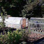 Neil Storey - Instagram Profile Picture of Neil Storey (@allotmentcrowpark19) on Instagram