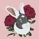 Profile Picture of Amanda Kok (@bigbunnyotje) on Instagram