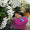 Profile Picture of Fang Zhang (@Fang-Zhang2012) on Flickr