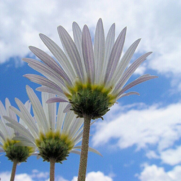 Profile Picture of Loretta Savage (@retta_savage) on Poshmark