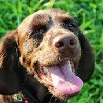 Profile Picture of geoff (@geoff.garcia325) on Instagram