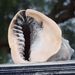 Profile Picture of jerome Blaha (@bjerome1a) on Pinterest