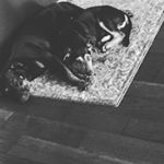 Profile Picture of Hayden Deitzer (@deitzer_hayden) on Instagram