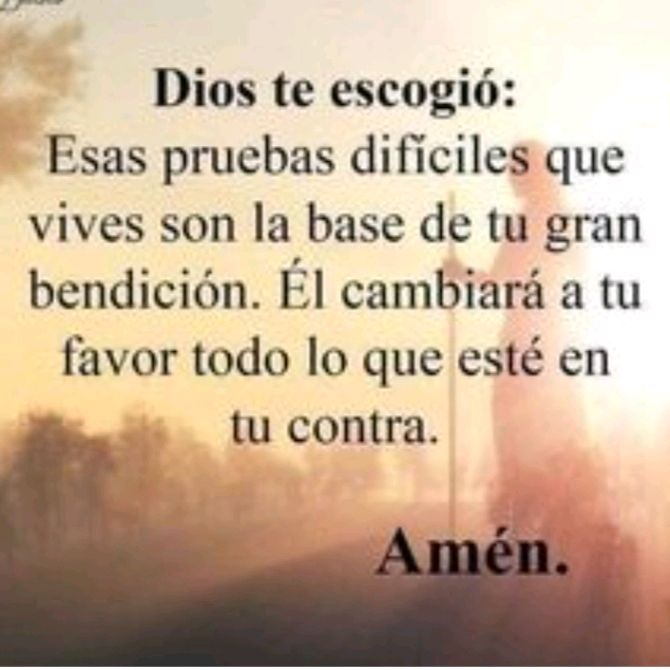 Profile Picture of @Alcivarped_8921 (@petteralcivar_89) on Tiktok