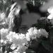 Profile Picture of Jillian Clancy (@jclancypants) on Pinterest