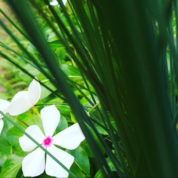 Profile Picture of Gloria Cassetti (@auntybaby) on Poshmark