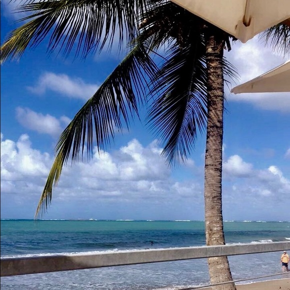 Profile Picture of Andy Rojas (@andyrojas10101) on Poshmark