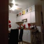 Profile Picture of Matthew Vestal (@matt_cuomo14) on Instagram