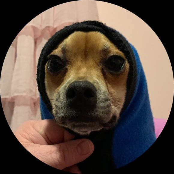 John Tritchler - Poshmark Profile Picture of John Tritchler (@zavazilla) on Poshmark