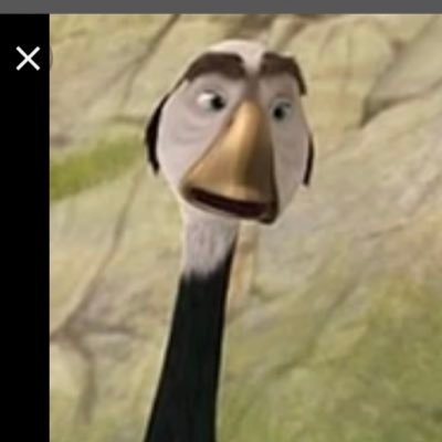 Profile Picture of •Giulia Ferrante (@GiuliaF44665554) on Twitter