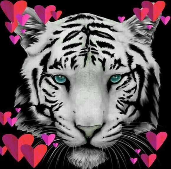 Profile Picture of Whyte Tyger (@yylasley) on Poshmark