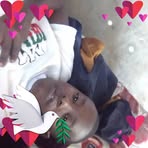 Profile Picture of Charlie Chau (@Charlie-Chau) on Facebook