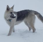 Chad Benson - Facebook Profile Picture of Chad Benson (@chad.benson.888015) on Facebook