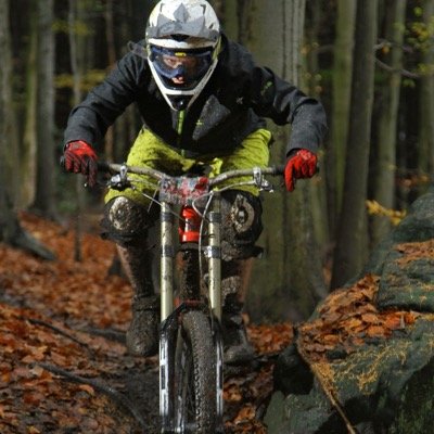 Profile Picture of Tom Robey (@robeydh) on Twitter