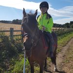 Cody - Instagram Profile Picture of Cody (@cody_welsh.cob_pony) on Instagram