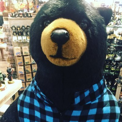 Profile Picture of Jerry Bear Hyder (@jerrybear75) on Twitter
