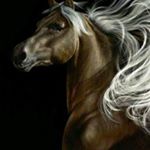 Profile Picture of Cindy Danielson (@cindy.danielson.3) on Instagram