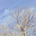 Profile Picture of Jason Everhart (@fredbradelfeline) on Instagram