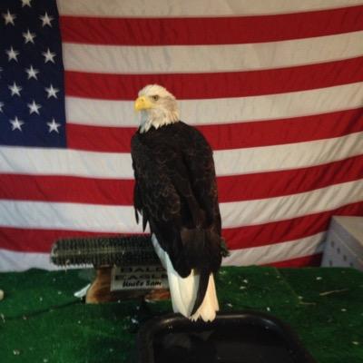 Profile Picture of Kevin McNutt (@thekevinmcnutt) on Twitter