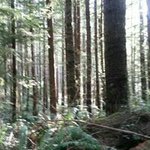 Profile Picture of Dawn Marks (@marksdawn) on Instagram