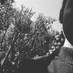 Profile Picture of A-mi Kim (@amicka_kim) on Instagram