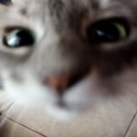 Profile Picture of Armando Grajeda Pineda (@armandograjedapineda) on Instagram