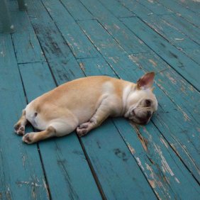 Profile Picture of Holland G. (@AmutualLeonard) on Twitter