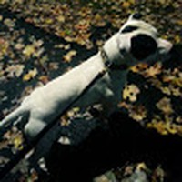 Profile Picture of John Cuccia (@john-cuccia-7) on Quora