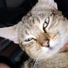 Profile Picture of OSCAR GILA (@david.emmett1) on Tiktok