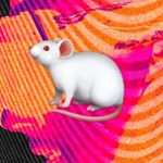 Profile Picture of James Rhoades (@_jimbo_james) on Instagram