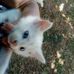 Profile Picture of Νικολινα Πάρος (@nikol_greece_) on Instagram